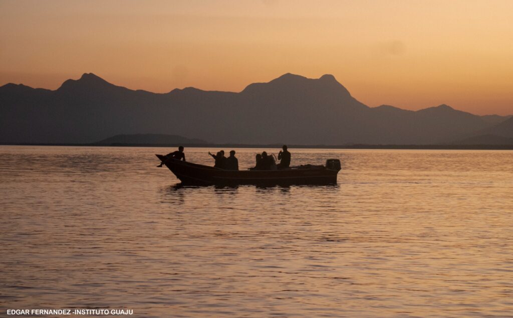 Por que a preservação da Baía de Guaratuba é urgente — e como você pode ajudar